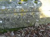 image of grave number 240903